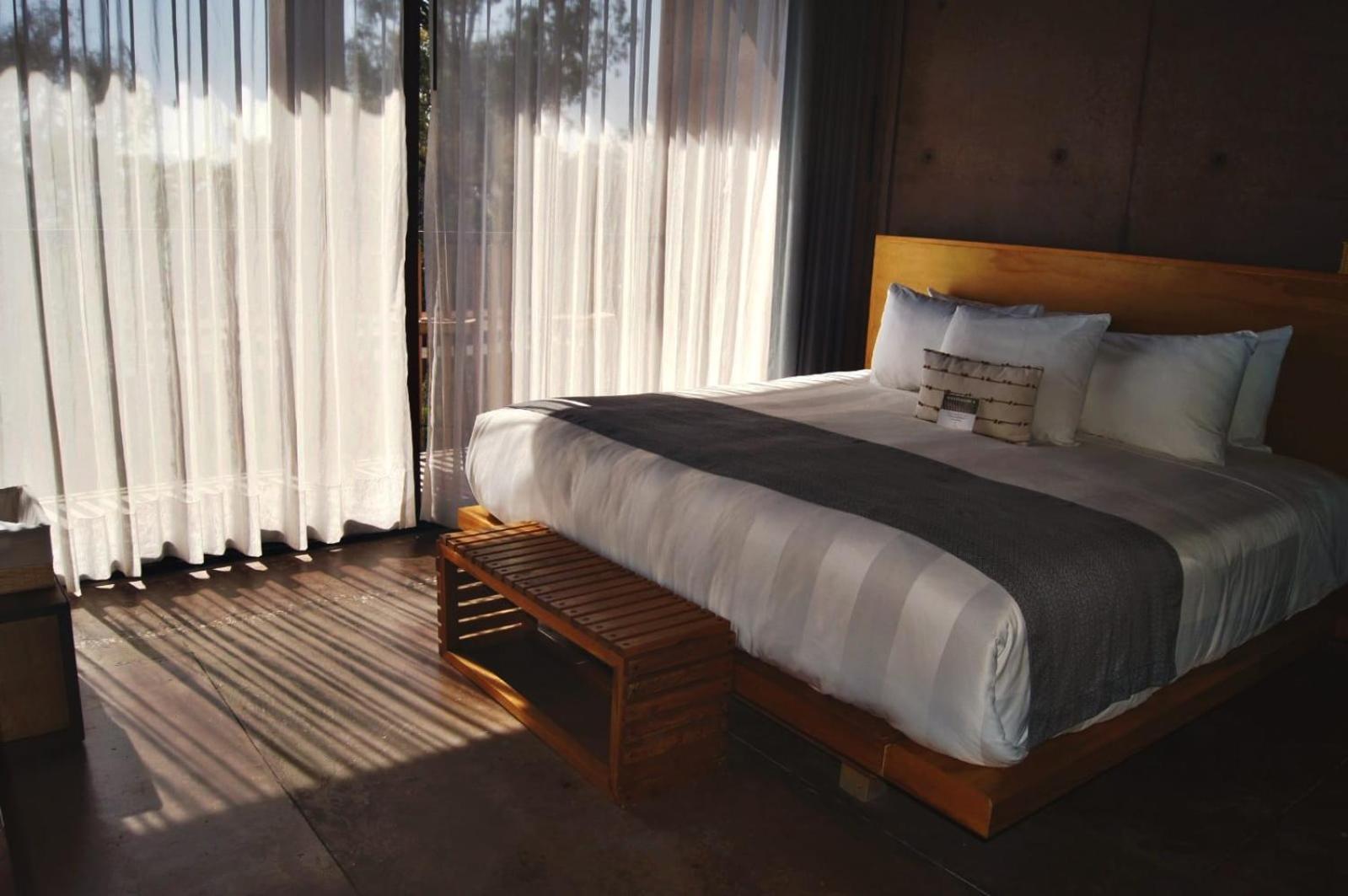 Suite Junior con terraza